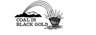 COAL IS BLACK GOLD logo