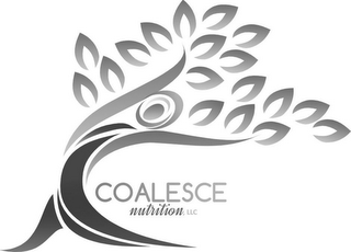 COALESCE NUTRITION, LLC logo