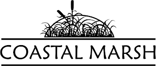 COASTAL MARSH logo