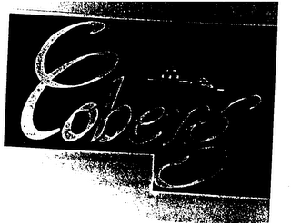 COBERG logo
