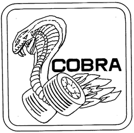 COBRA
