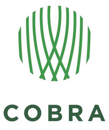 COBRA logo