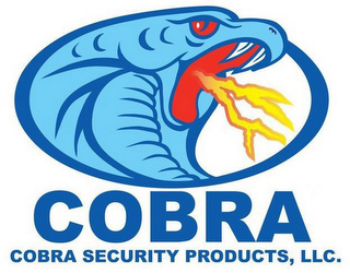COBRA SECURITY PRODUCTS, LLC. logo