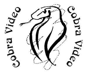 COBRA VIDEO logo