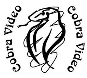 COBRA VIDEO COBRA VIDEO logo