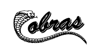 COBRAS logo