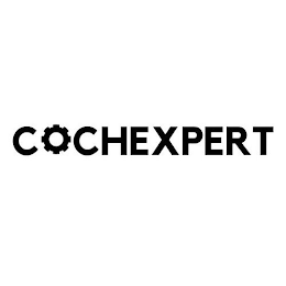 COCHEXPERT logo