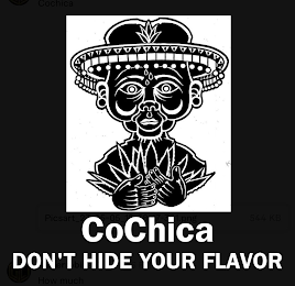 COCHICA DONT HIDE YOUR FLAVOR logo