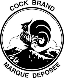 COCK BRAND MARQUE DEPOSEE logo