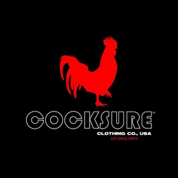 COCKSURE CLOTHING CO., USA EST. SINCE BIRTH logo