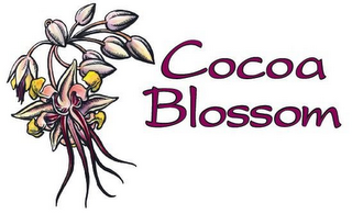 COCOA BLOSSOM logo