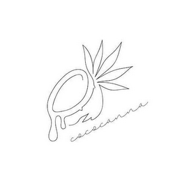 COCOCANNA logo