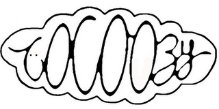 COCOOZY logo