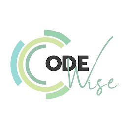 CODE WISE logo