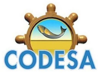 CODESA logo
