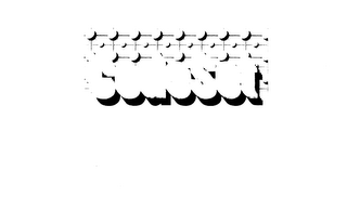 CODESET logo
