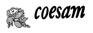 COESAM logo