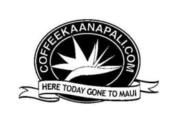 COFFEEKAANAPALI.COM HERE TODAY GONE TO MAUI logo