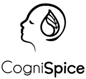 COGNISPICE logo