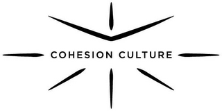 COHESION CULTURE logo