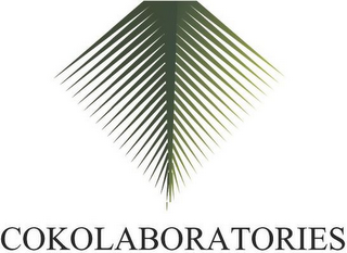 COKOLABORATORIES logo
