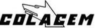 COLACEM logo