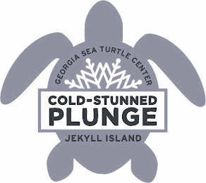 COLD-STUNNED PLUNGE GEORGIA SEA TURTLE CENTER JEKYLL ISLAND logo