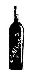 COLD WINE logo