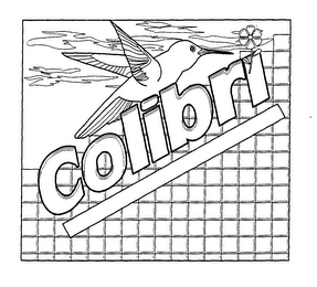 COLIBRI logo