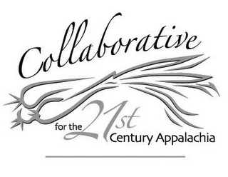COLLABORATIVE FOR THE 21ST CENTURY APPALACHIA logo