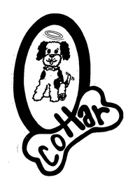 COLLAR logo