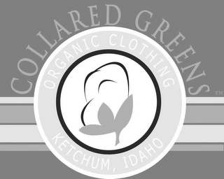 COLLARED GREENS ORGANIC CLOTHING KETCHUM, IDAHO logo