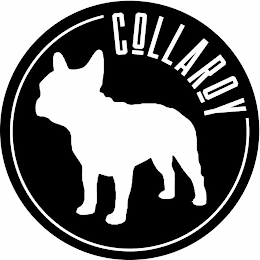 COLLAROY logo