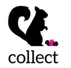 COLLECT logo