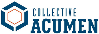COLLECTIVE ACUMEN logo