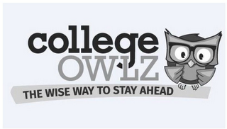 COLLEGE OWLZ THE WISE WAY TO STAY AHEAD logo