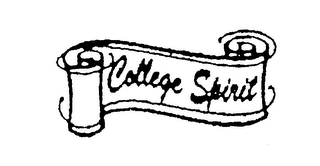 COLLEGE SPIRIT logo