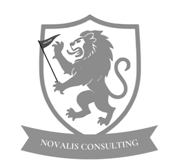COLLEGE NOVALIS CONSULTING logo