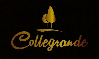COLLEGRANDE logo