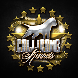 COLLIEONE KENNELS logo