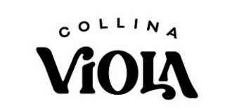COLLINA VIOLA logo