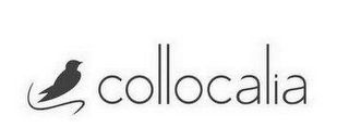 COLLOCALIA logo