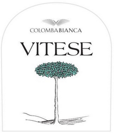 COLOMBABIANCA VITESE logo