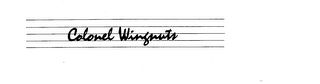 COLONEL WINGNUTS logo