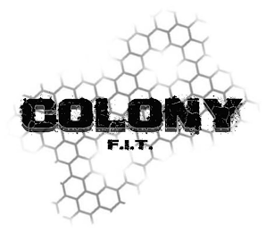 COLONY F.I.T. logo