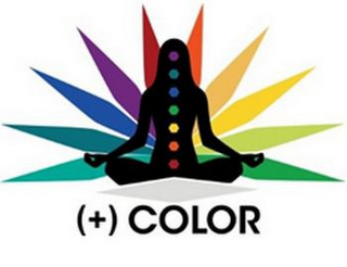 (+) COLOR logo