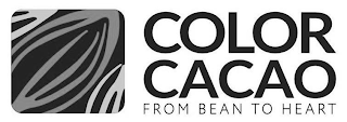 COLOR CACAO FROM BEAN TO HEART logo
