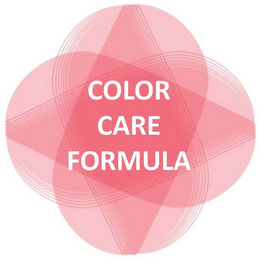 COLOR CARE FORMULA logo