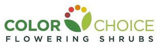 COLOR CHOICE FLOWERING SHRUBS logo