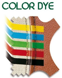 COLOR DYE logo